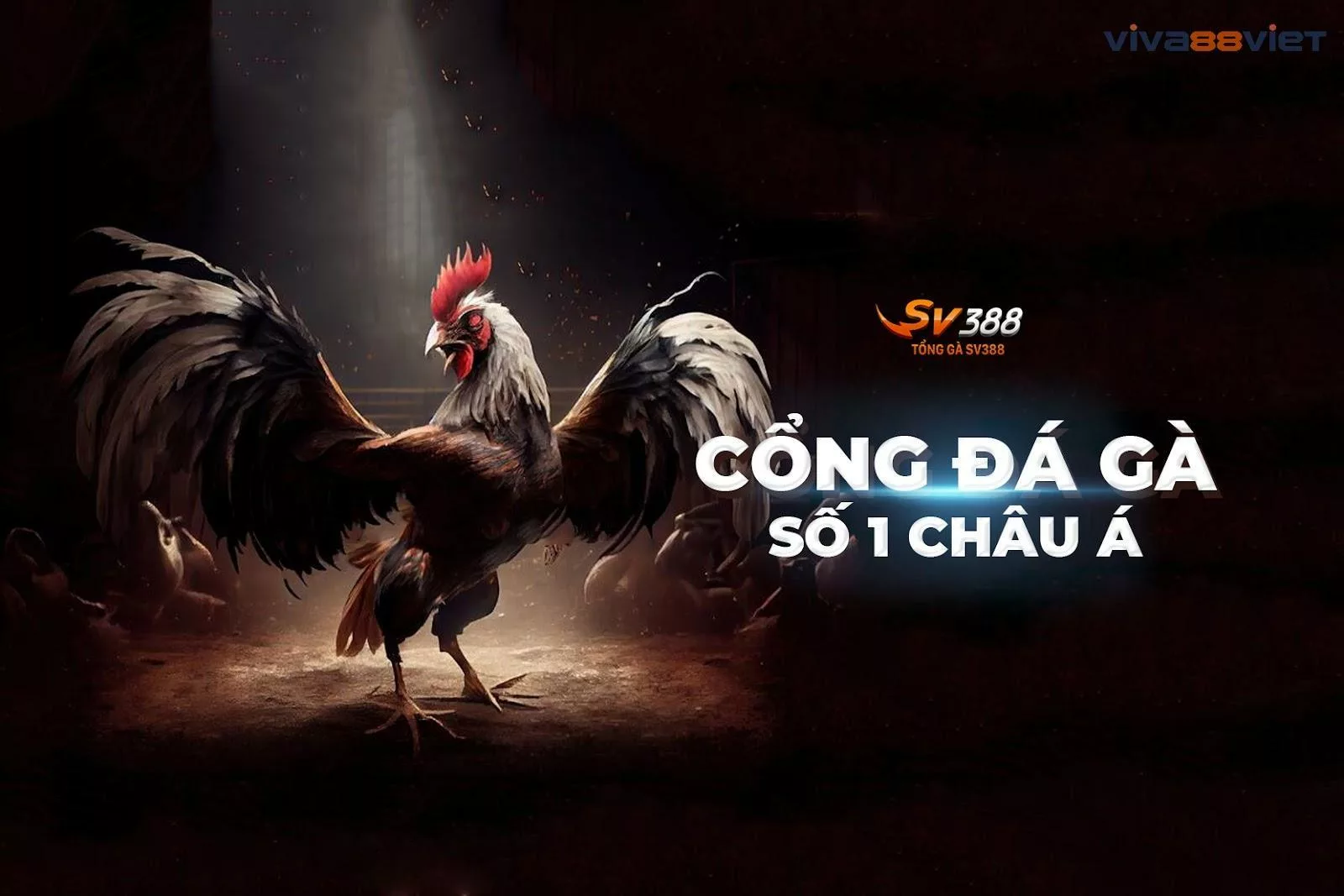 Nhà cái đá gà trực tiếp sv388